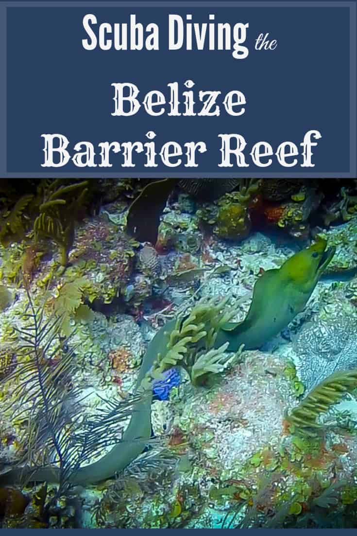Scuba Diving the Belize Barrier Reef