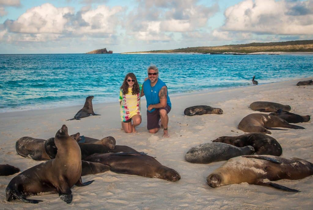 Galapagos Islands Animals: Galapagos Sea Lions