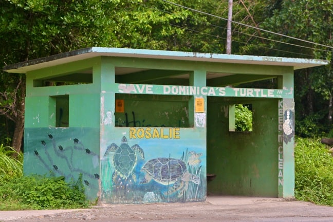 Sea Turtle Conservation, Rosalie Bay Resort, Dominica