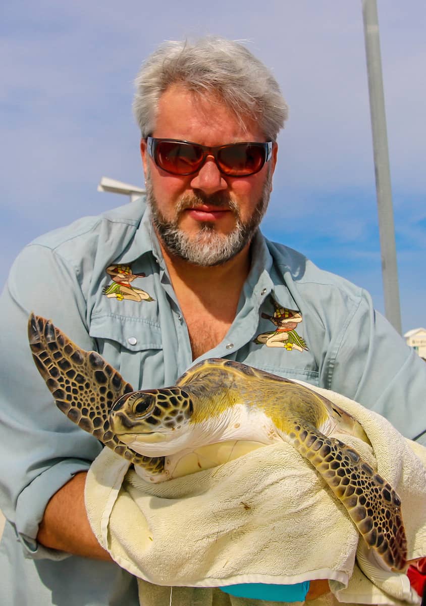 Sea Turtle Inc rescues injured sea turtle in Port Isabel, Texas.