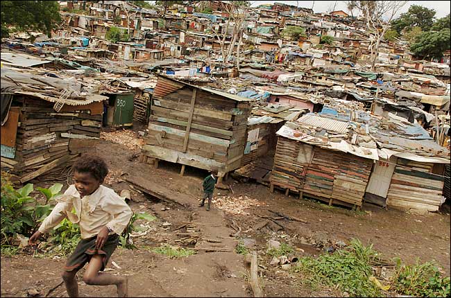 Shanties Near Durban