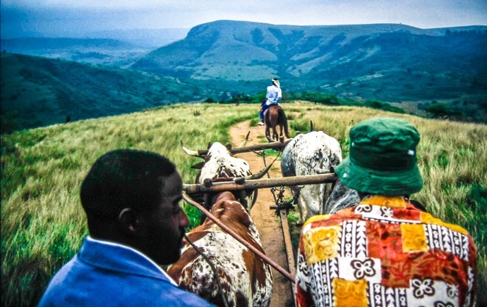 The Road to Simunye Zulu Village