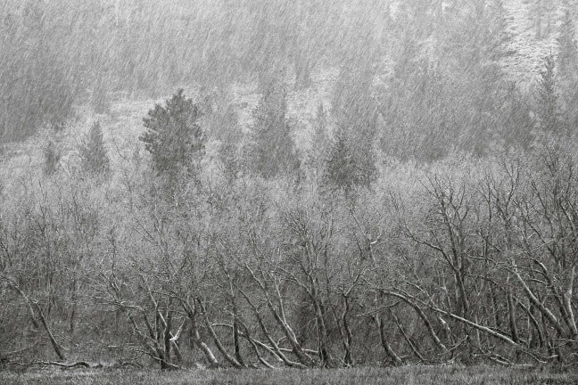 Ansel Adams Wilderness, California. Sleet near Parker Lake