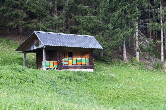 Organic Beekeeping Hut in Jerzersko Valley