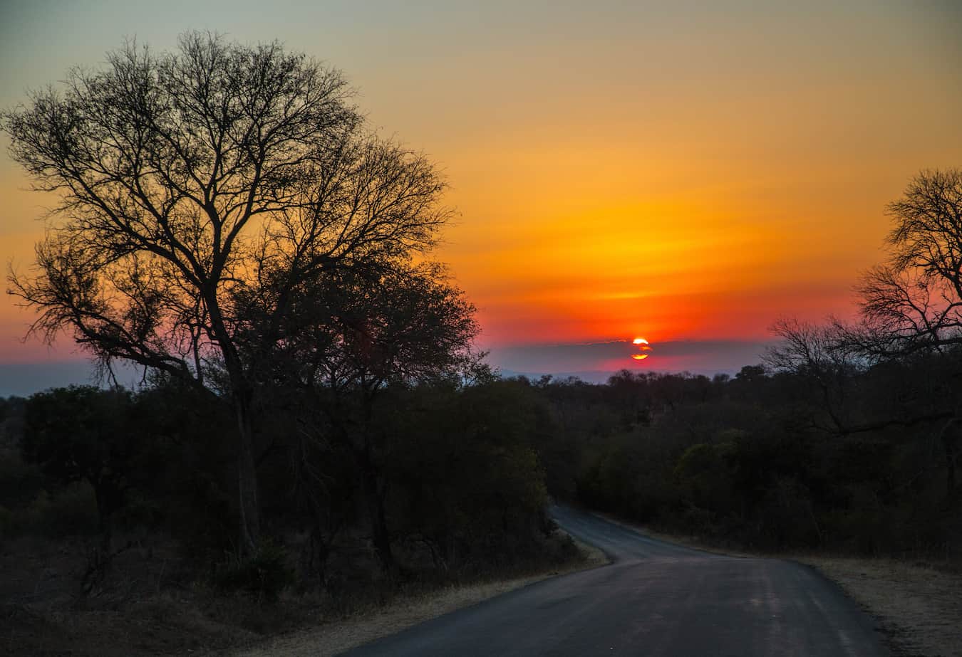 Sunset in Kruger National Park