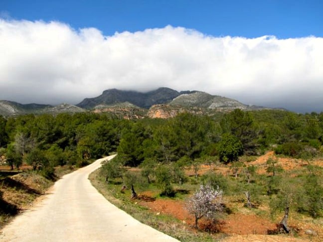 The Mountain Road Leading Down to AlozainaThe Mountain Road Leading Down to Alozaina