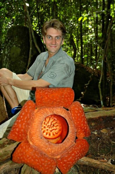 Things to do on Malaysia Peninsula- Look for Rafflesias in Cameron Highlands