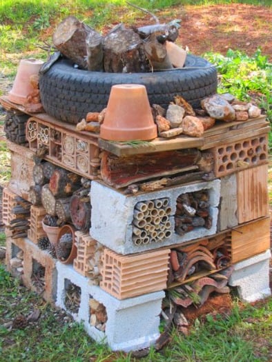 Trevor's Insect Hotel Built from Found Materials