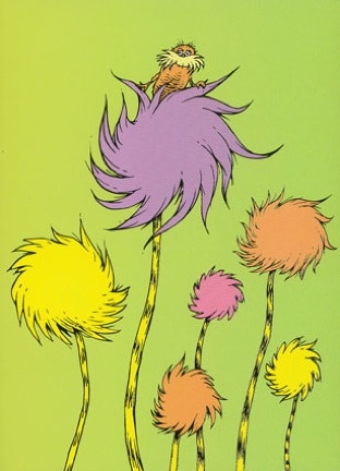 Lorax Lessons