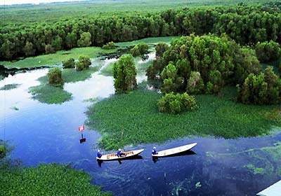 U Minh Thuong National Park