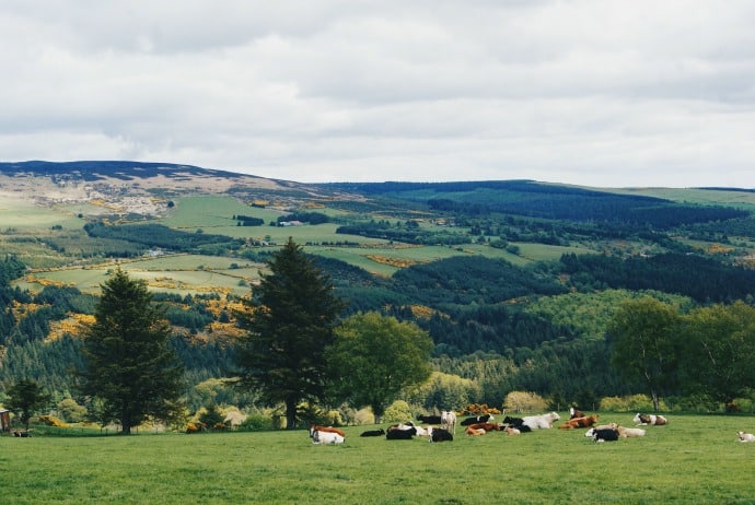 Wicklow Mountains National Park