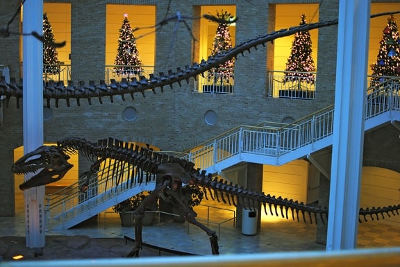 Winter Wonderland Fernbank Museum