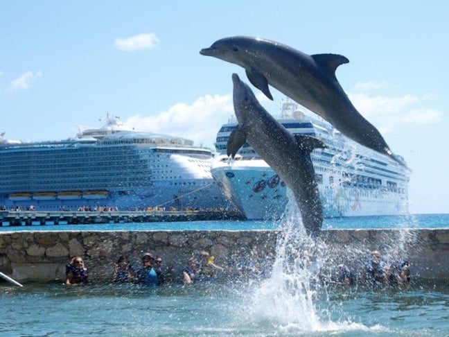 Dolphin Discovery's Costa Maya Location