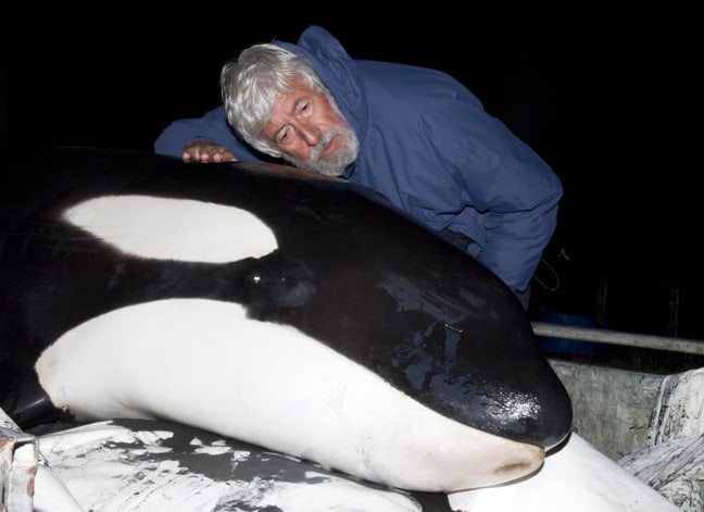 Jean-Michel_cousteau-Killer-Whales-New-Zealand
