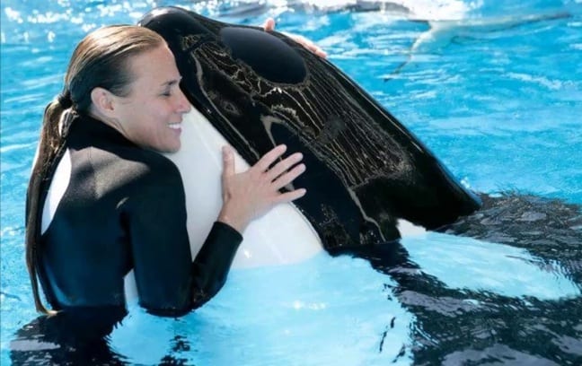 Whale Trainer Dawn Brancheau at Sea World