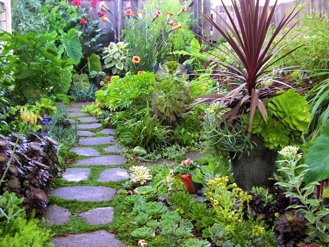 5 Ways to Make Your Garden More Eco-Friendly