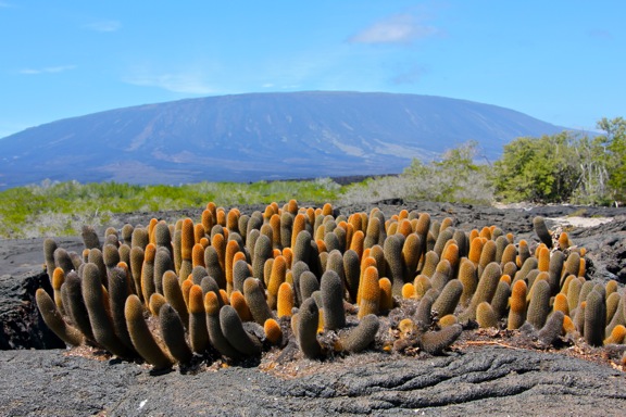 Galapagos Islands - La Cumbre Volcano