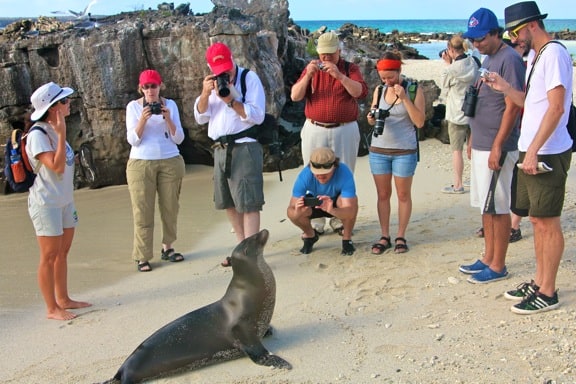 Ecotourists photographing a Galapagos Sea Lion