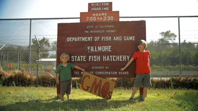 GMO OMG, documentary film on genetically modified foods