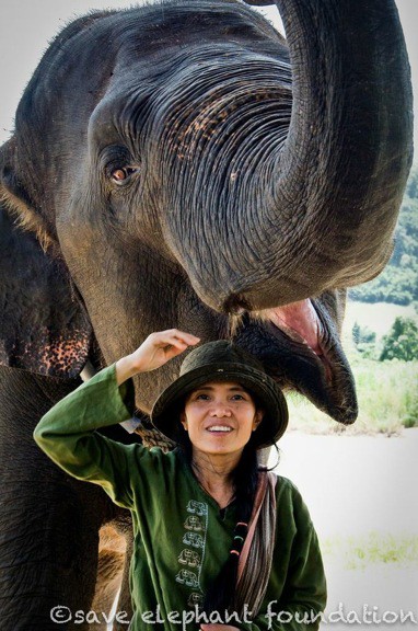 Lek Chailert of Elephant Nature Park, Thailand