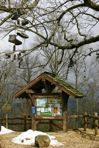 Appalachian Trail hiker boots in tree