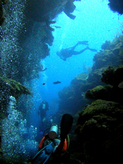 Mary's Place, Roatan, Honduras by Tourismroatan.com