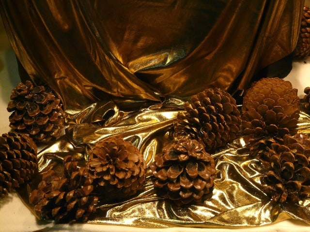 Pine cones, one of many natural Christmas ornaments available for the picking Photo public domain