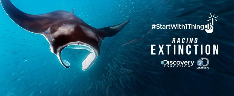 #StartWith1Thing campaign from Racing Extinction