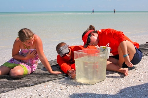 Alex Love at Sanibel Sea School