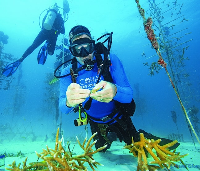 Coral Restoration Foundation Founder Ken Nedimyer