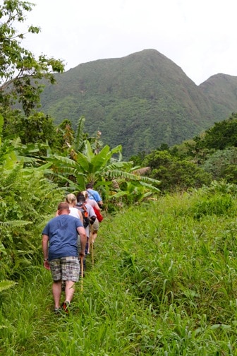 Greg's Safaris Hiking in the Rainforest of St Kitts 