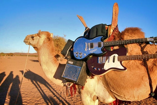 guitars on camel