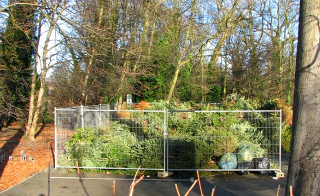 Christmas tree recycling center in the UK Photo John Sutton via Wikimedia Commons